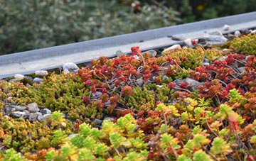 the cost of Bontuchel green roof installation
