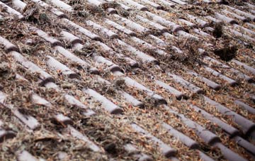 Bontuchel roof cleaning companies